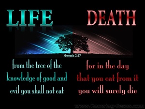 Genesis 2:17
